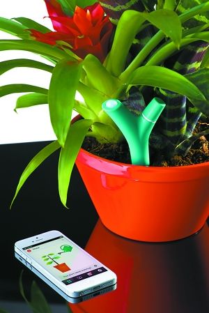 手机病毒面临大爆发