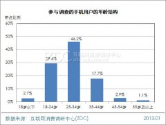 2012-2013年中国手机用户属性调查报告
