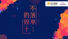 双十一苏宁卖过最贵单品是电器珠宝“疯X”？错是飞机