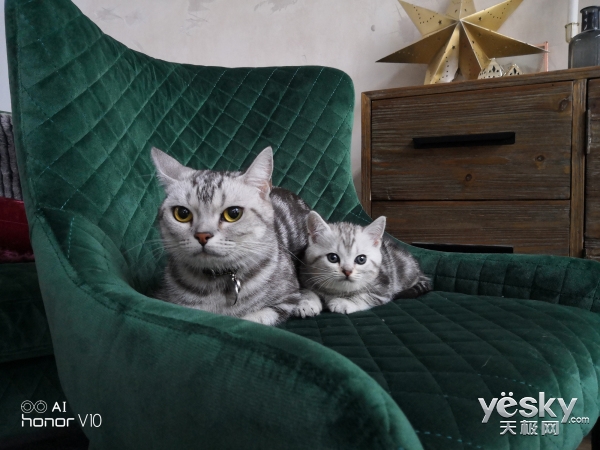 荣耀V10旗舰上手体验，用人工智能开挂吃鸡和王者荣耀的手机？