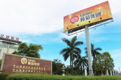 深度分销、多元发展：榄菊用实力开启企业“大日化时