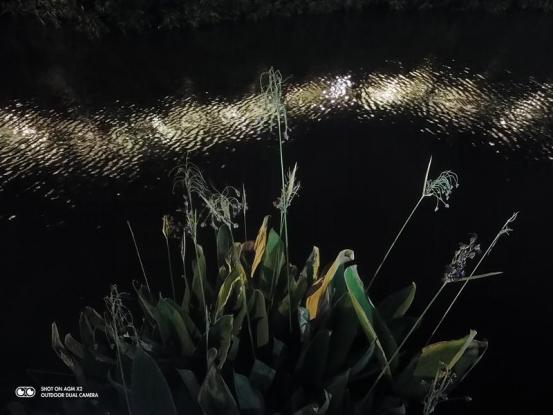 AGM X2 IP68军用级三防手机，时尚外观，超强性能！