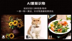 华为手机引以为傲的"AI识物",在一款浏览器上就