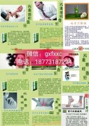 /uploads/allimg/180227/155221J04-0-lp.jpg