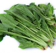 菠菜法则是什么？尊享富来告诉你！