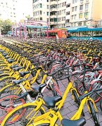 摩拜ofo禁投新车 滴滴哈罗暂缓投放