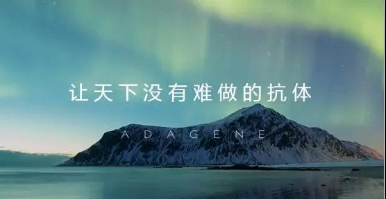 投资家网3月27日消息,据知情人士透露,日本软银集团打算向一家中国货车约车公司满帮集团投资10亿美元,“满帮集团”是“运满满”和“货车帮”合并而成的一家为卡车司机和需要运输货物的货主提供匹配服务的移动应用平台。