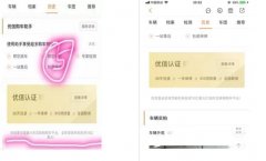 惊呆！优信二手车被实名举报：彻头彻尾的违规操作