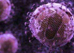 艾浠生物：人身体里的硒能存留多长时间？