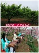 /uploads/allimg/180507/115T014J-0-lp.jpg