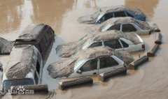 以次充好销售涉水车 买家状告优信二手车主张退一赔三