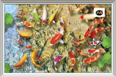 墙体彩绘机弥补家居装饰行业不足