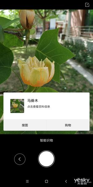 我说 最好的手机摄影体验就是随手一拍就OK