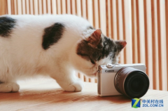 佳能微单M100 高感控噪能力不俗