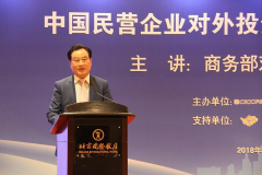 王玉印出席中国民营企业对外投资和国际经济合作报告