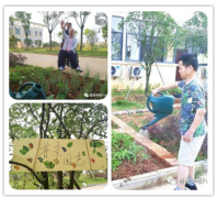 抚州比较好的养老院在哪里—抚州普养老院—浅析照顾