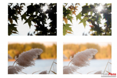 /uploads/allimg/180620/14500a346-0-lp.png