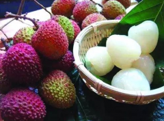 莆田超好吃的荔枝，莆田艺星水果店上市