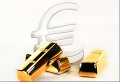 瑞中联合北京控股有限公司:强服务、抓建设，创特色