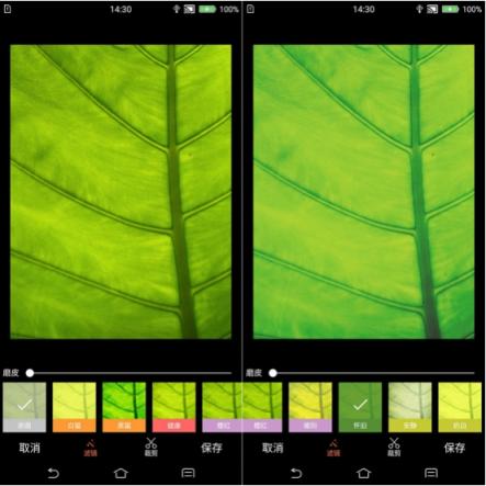 越拍越AI拍!汇威AICALL V9手机拍摄功能测评