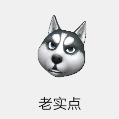华为nova 3自拍评测:手机也能拍出海报大片