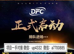 dfc注册码是什么，好玩吗