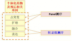 智因东方推出全新全景基线组合项目
