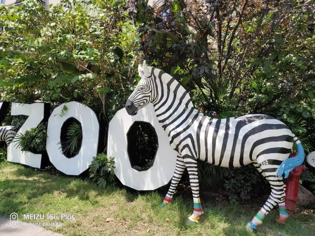 魅族16th深度体验:时隔两年,魅族终于有了一款真旗舰