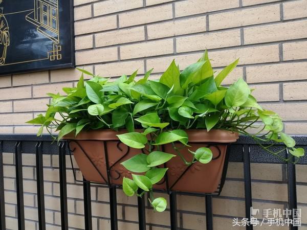 华为nova3i评测:你的高颜值自拍神器