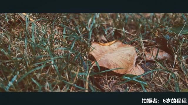 时尚摄影师贾蕾独家评测:美图T9手机缩短爱好与专业的距离