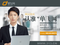 网络建设优化，提高Alexa排名