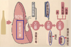 /uploads/allimg/180912/1P03GP3-0-lp.png