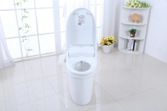 瑞丝美告诉你传统的坐便器和智能马桶盖之间的区别
