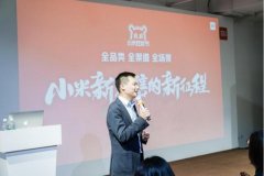 双十一小米有大招？线上线下联动，你认为雷军的新零售能成