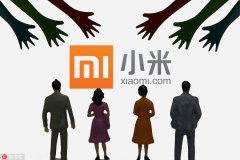 备战上市后首个双十一 小米要做全品类全渠道的新零售