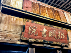 王树彤，和乌镇“她饭局”