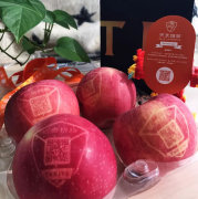 纸贵科技携手京东众筹：全国首例区块链苹果助力科技