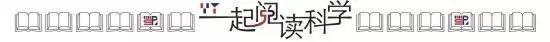 网络安全攻防技术:移动安全篇