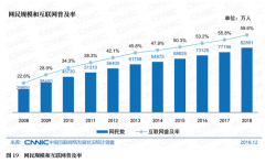 CNNIC第43次调查报告：网民规模