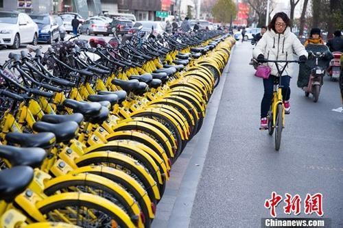 三个月过去,你的ofo退押金排号前进了多少位?