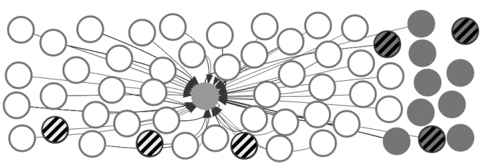 bild_network_bw_v6.png