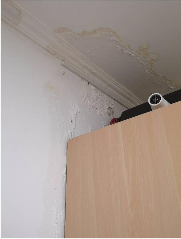 深呼吸?自如被爆让租客选择住有甲醛的房间,糟心服务何时休?