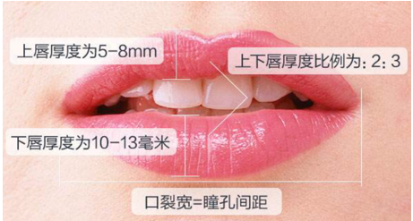 微笑唇素材1.png