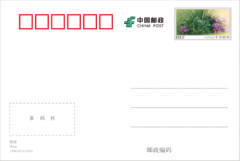 可可西里的自然之美 由华为P30 Pro的镜头传颂