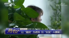 女子一个月被骗走17万 电信诈骗套路深