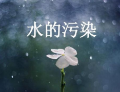/uploads/allimg/191231/15103G4M-0-lp.png