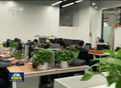超3亿人节后在家办公 钉钉、飞书、蓝信等远程办公“