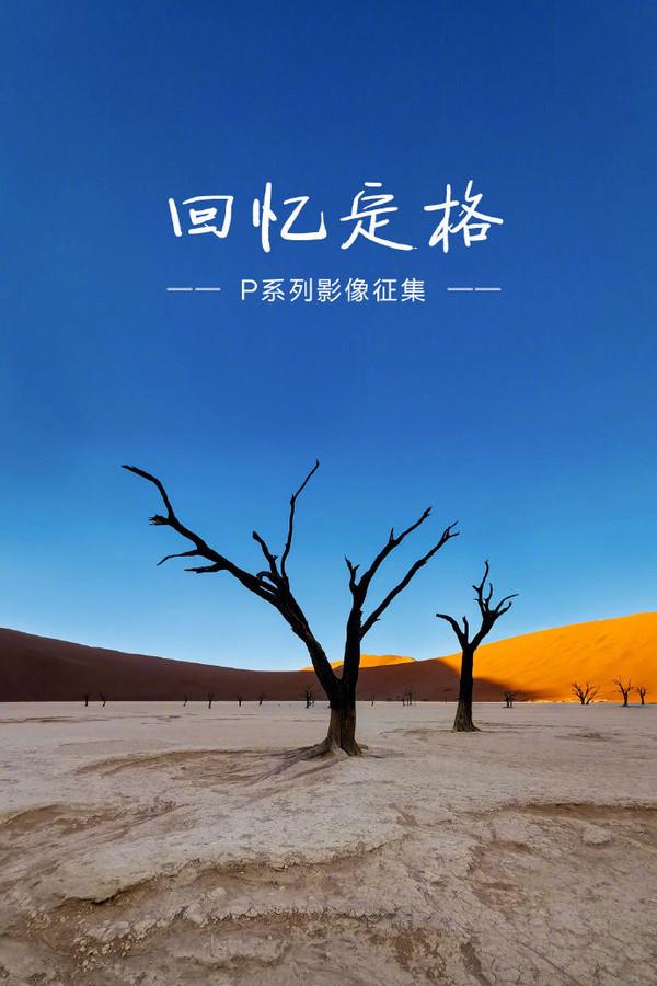 迎接P40系列!花粉俱乐部发起P系列影像征集活动