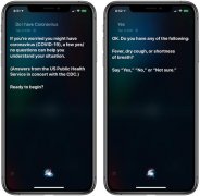 苹果紧急升级！Siri变身肺炎检测师：用户可自我诊断