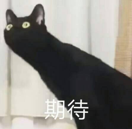 微信与QQ间最烦人的限制,终于被干掉了